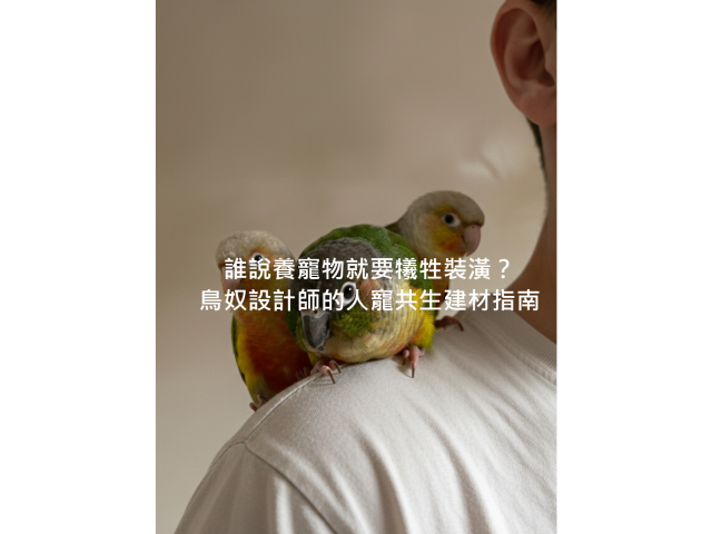 高雄寵物宅裝潢｜地板塗料沙發選購指南，搞定耐刮除臭無毒