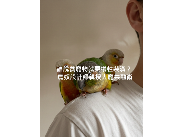 高雄寵物宅裝潢｜地板塗料沙發選購指南，搞定耐刮除臭無毒